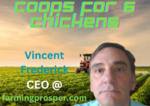 Best chicken coops for 6 chickens 2023