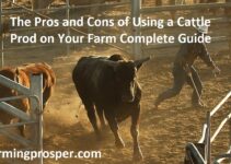 The Pros and Cons of Using a Cattle Prod on Your Farm Complete Guide